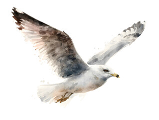 Obraz premium Watercolor Seagull in Flight - Artistic Bird Illustration with Transparent Background for Creative Projects (145 characters)