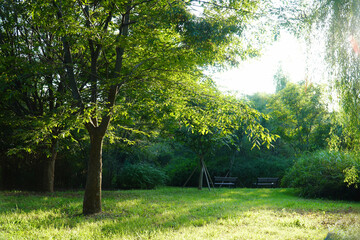 lawns and cool shades