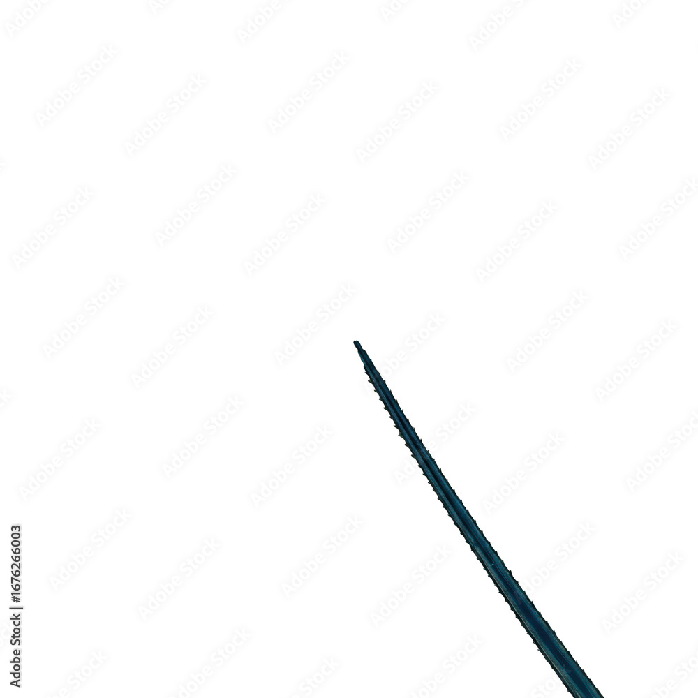 Poster microscopic feather barb showing semi-transparent helical filaments in a precise, organized pattern,