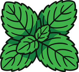Green Mint Leaves Illustration Simple Design green leaves
