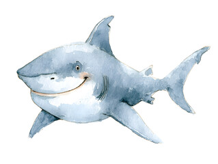 Fototapeta premium Watercolor Shark Illustration - Cute Cartoon Sea Animal for Children's Decor and Educational Materials
