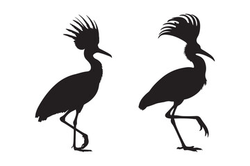 Two silhouetted birds with crested heads walking