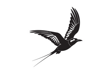 Elegant black bird soaring through the sky