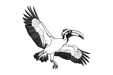 Striking hornbill bird in flight black and white drawing