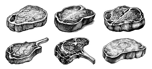 Collection of different cuts of steak in a vintage engraving style, black and white