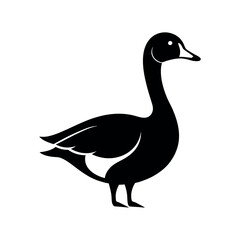 Barnacle Goose Black Silhouette Illustration