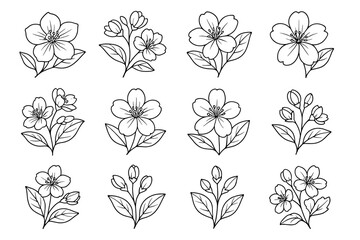 Twelve delicate floral illustrations featuring blossoming flowers and leaves