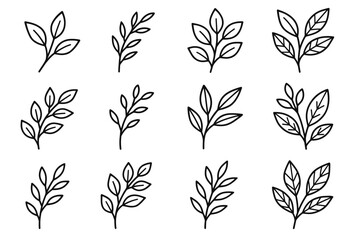 Collection of hand-drawn botanical leaf illustrations in various designs