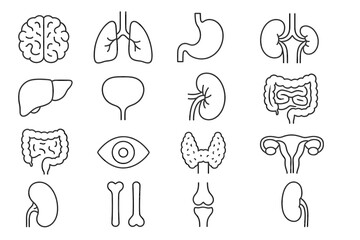 Human organ outline icons: brain, lungs, stomach, kidneys, liver, eye, thyroid, uterus