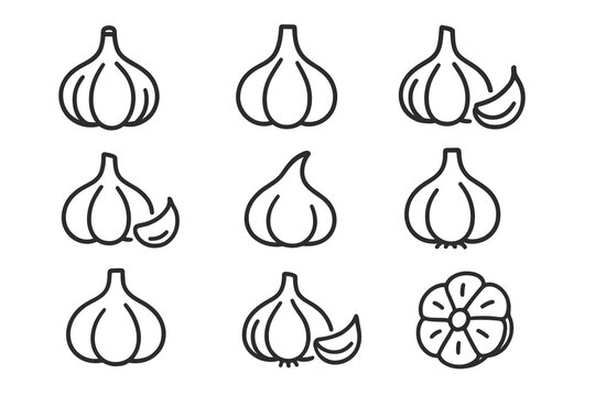 Set of garlic icons in minimalist outline style