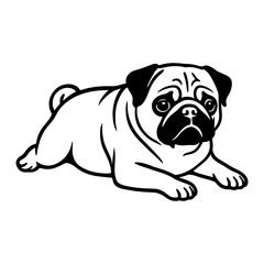 Pug Laying Down