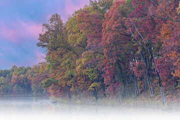 Foggy autumn landscape of the shoreline of Eagle Lake at dawn, Fort Custer State Park, Michigan, USA