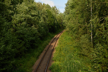 Obraz premium Serene Train Tracks are Beautifully Surrounded by Lush Green Forest and Natures Splendor