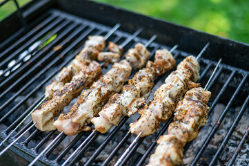 Traditional shashlik cooking on a grill