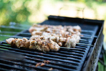 Traditional shashlik cooking on a grill