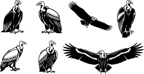 Vulture silhouette, Sitting vulture silhouette, Vulture , Clipart vulture silhouette, Vulture Vulture vector illustration collection 