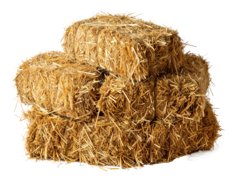 Hay bales isolated on a transparent background..