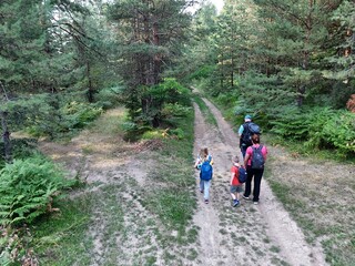 Obraz premium Parents and kids spending time together in the forest. Aerial shot of a family hiking in the forrest path.