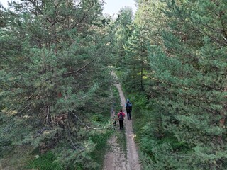 Obraz premium Aerial shot. Parents and kids walking together in nature, enjoying a forest adventure. 