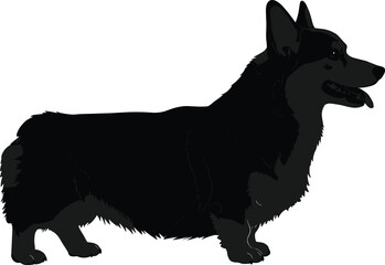 Welsh Corgi dog silhouette, pet animal vector, canine breed illustration for dog lovers, art, and design projects