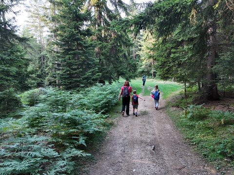 Family hiking in the forest. Parents and kids enjoying outdoor adventure, diverse family bonding in nature while exploring green forest path. - Powered by Adobe