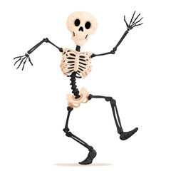 Cute skeleton dancing on white background. Illustrations for Halloween