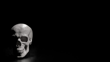 The Skull on Black Background for sci or medical concept 3d Rendering.