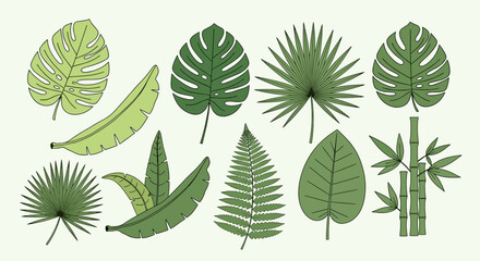 Tropical Leaves and Bamboo Plants Isolated on White Background Vector