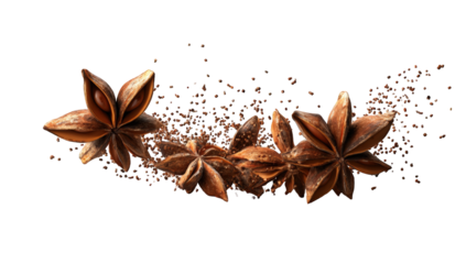 Star anise spice explosion