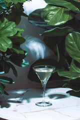 Italian white bianco vermouth in glass on white table with green tropical leaves