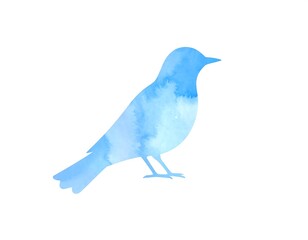 Light blue watercolor bird silhouette