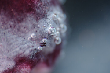 Bloom is a waxy coating produced by the grape itself as a protective layer against moisture loss, microbial growth, and pests