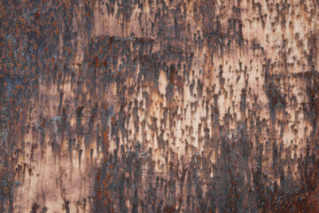 Close‑up of aged metal door with deep rust and flaking paint, rich orange‑brown and cream tones evoking industrial decay and weathered urban character