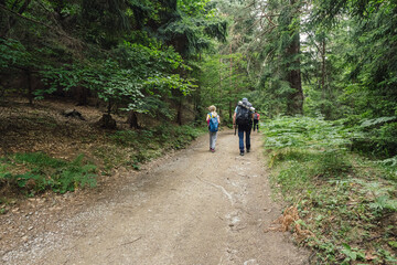 Fototapeta premium Hiking in the forest. Family with child with disability spending quality time outdoors, hiking in lush green woodland.