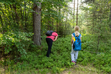Family outdoor activity. A woman and her daughter are looking for wild blueberries in the forest next to a hiking trail. 