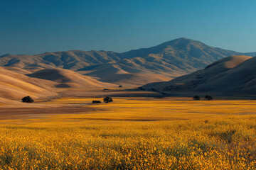 Obraz premium experience beauty of summer landscapes in all states of usa with expansive sunflower fields