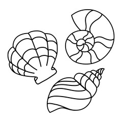 Line art, Digital line art, Printable coloring page - shellfish