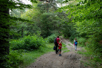 Hiking in the woods. Diverse family walking in nature, together on forest path.