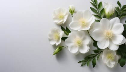 an elegant arrangement of fresh white flowers on a minimalist surface symbolizing purity and beauty ideal for decorative purposes or nature related themes