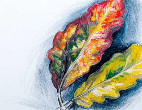 Abstract Colorful Fall Foliage Background 124