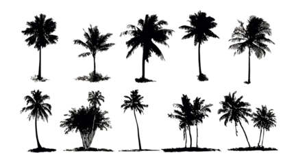 Tropical palm trees set silhouettes on transparent background