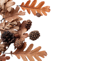 Dried autumn leaves and pine cones