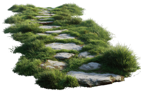 A winding stone path through grassy terrain
