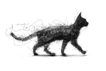 Silhouette of a cat with intricate, flowing lines