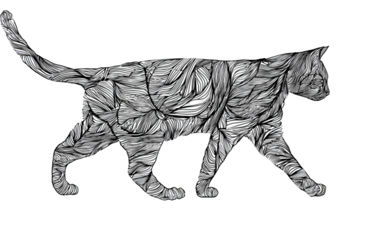 Abstract cat illustration
