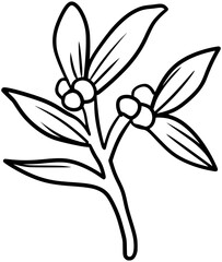 Mistletoe Plant Vector Outline Line Art Drawing