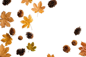 Autumn leaves and pine cones scattered on black background
