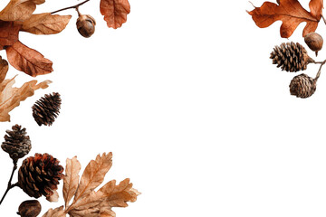 Autumn leaves and pine cones on black background