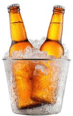 Two beer bottles in an ice bucket