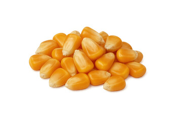 Fototapeta premium Pile of corn kernels laying on transparent background